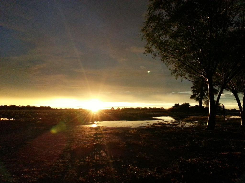 Las Curiosas Avia Terai Bagian luar foto
